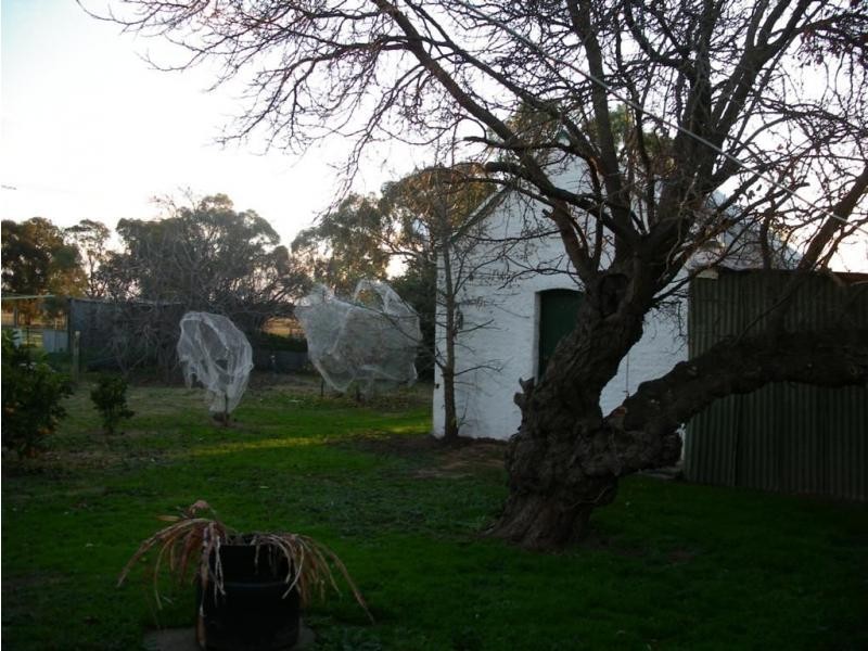 3311 Bridgewater Dunolly Road, Bridgewater VIC 3516