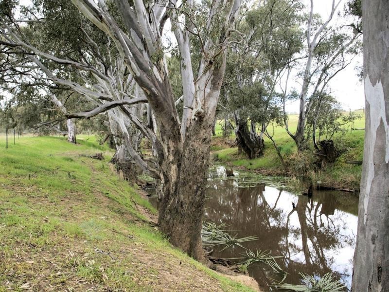 Lot 9 Northwood Court, Longlea Estate, Axedale VIC 3551