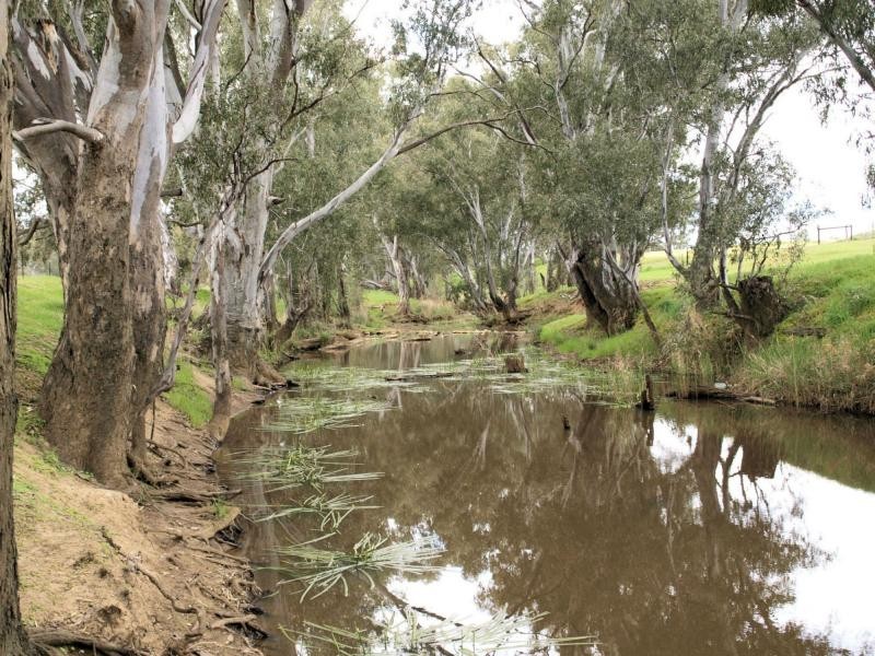 Lot 9 Northwood Court, Longlea Estate, Axedale VIC 3551