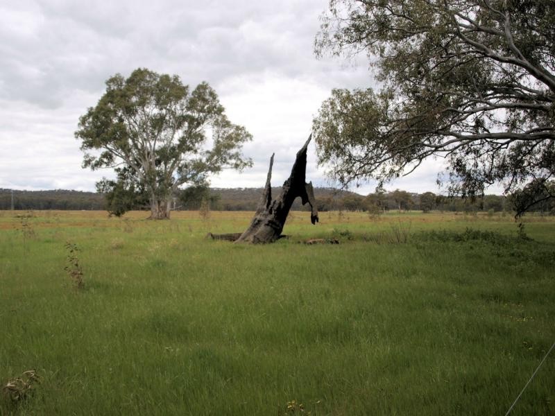 Lot 9 Northwood Court, Longlea Estate, Axedale VIC 3551