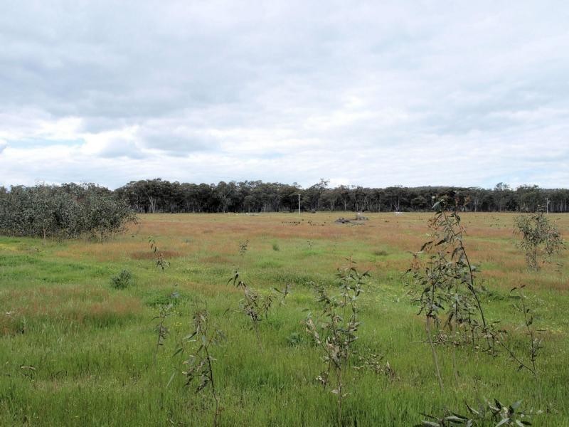 Lot 11 Northwood Court, Longlea Estate, Axedale VIC 3551