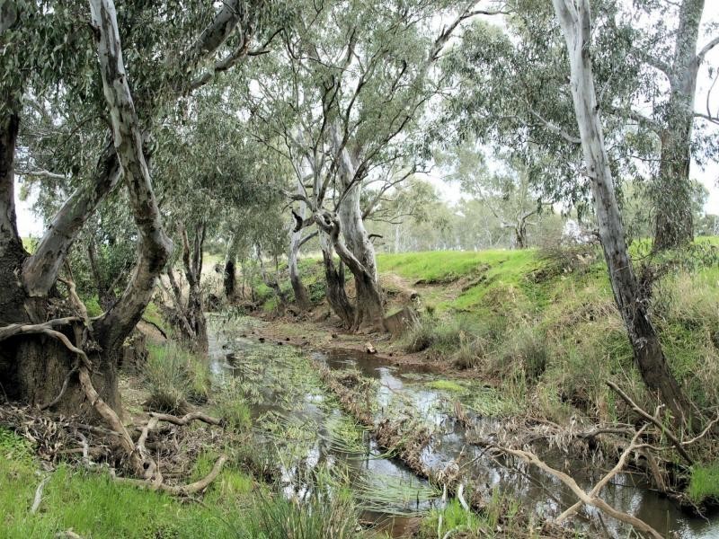 Lot 11 Northwood Court, Longlea Estate, Axedale VIC 3551