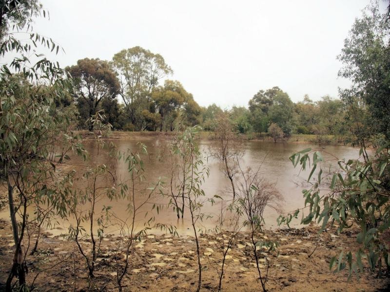 49 Beilharz Road, Ravenswood VIC 3453