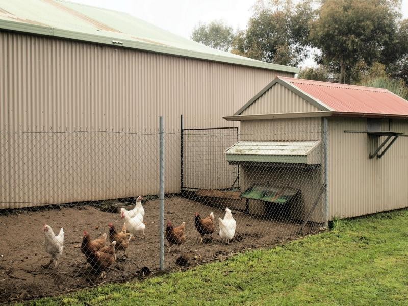 49 Beilharz Road, Ravenswood VIC 3453