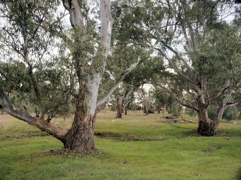 74 Wild Cherry Road, Lockwood South VIC 3551