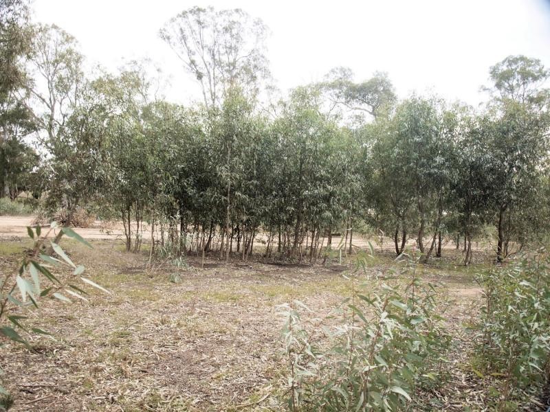 74 Wild Cherry Road, Lockwood South VIC 3551