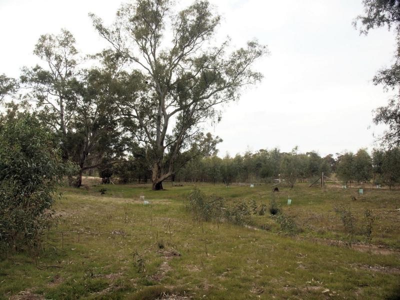 74 Wild Cherry Road, Lockwood South VIC 3551