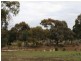 40 Teasley Drive, Heathcote VIC 3523