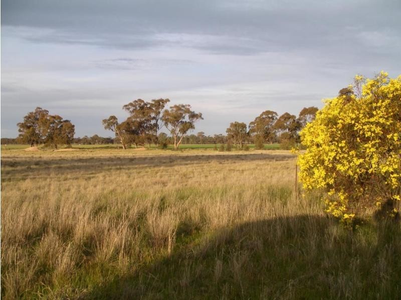 22 Triangle/Diagonal Road, Newbridge VIC 3551