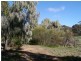 177 Scotts Lane, Wedderburn VIC 3518