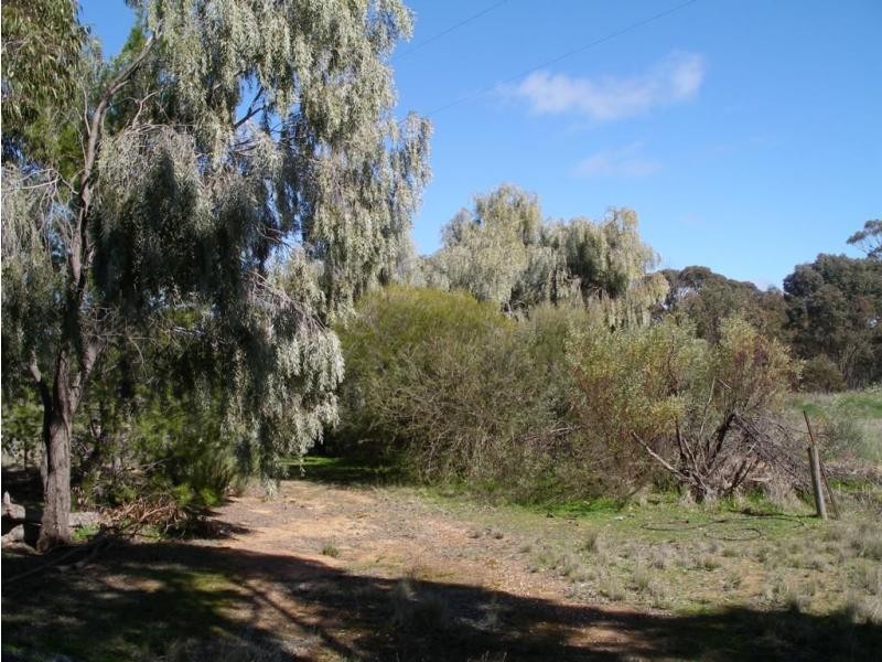 177 Scotts Lane, Wedderburn VIC 3518