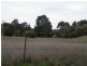 177 Scotts Lane, Wedderburn VIC 3518