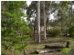 177 Scotts Lane, Wedderburn VIC 3518