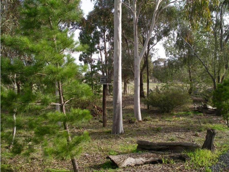 177 Scotts Lane, Wedderburn VIC 3518