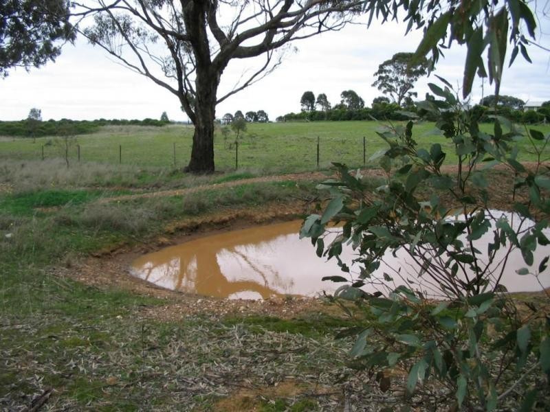 CA48 Sec D Woolpack Road, St Arnaud VIC 3478