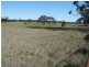 50 Eucy Road, Korong Vale VIC 3520