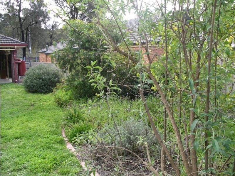 59 Burns Street, Spring Gully VIC 3550