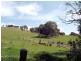 1270 Dairy Flat Road, Heathcote VIC 3523