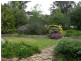 83 Wilson Street, Wedderburn VIC 3518