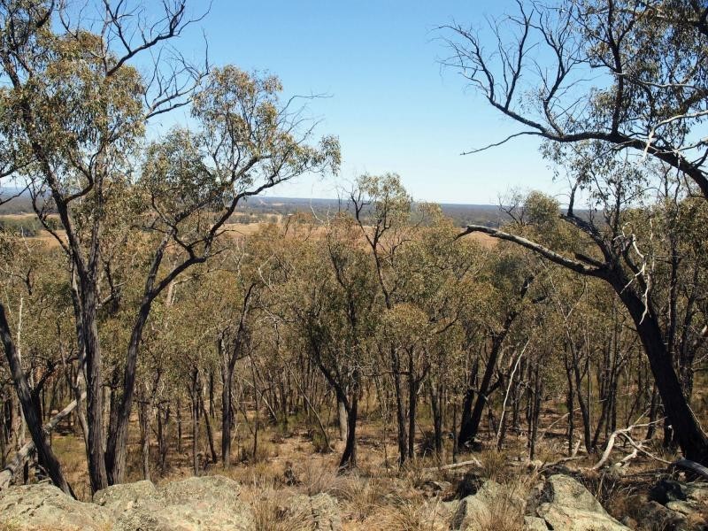 Lot 27 Pinpandoor Road, Longlea VIC 3551