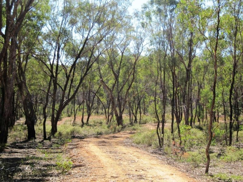 Lot 27 Pinpandoor Road, Longlea VIC 3551