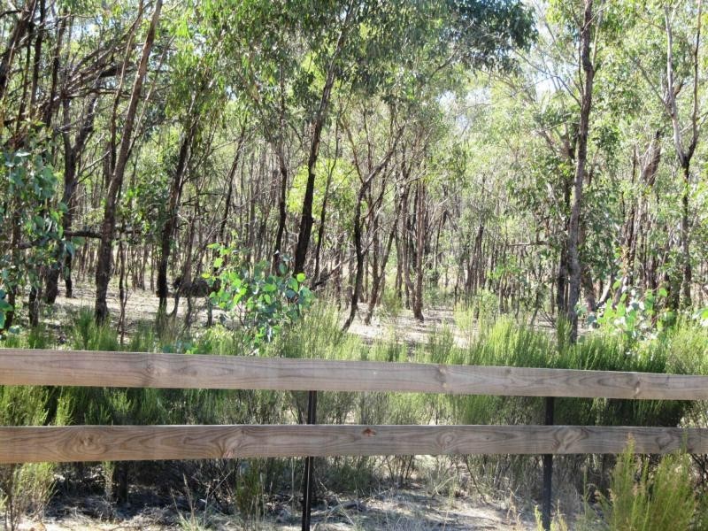 Lot 27 Pinpandoor Road, Longlea VIC 3551