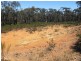 Lot 27 Pinpandoor Road, Longlea VIC 3551