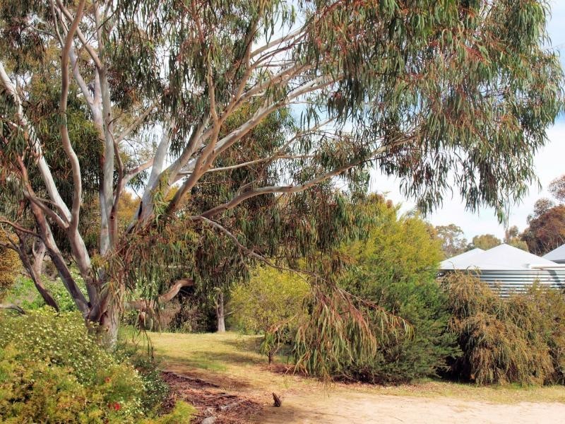 77 Dobles Lane, Bendigo VIC 3550