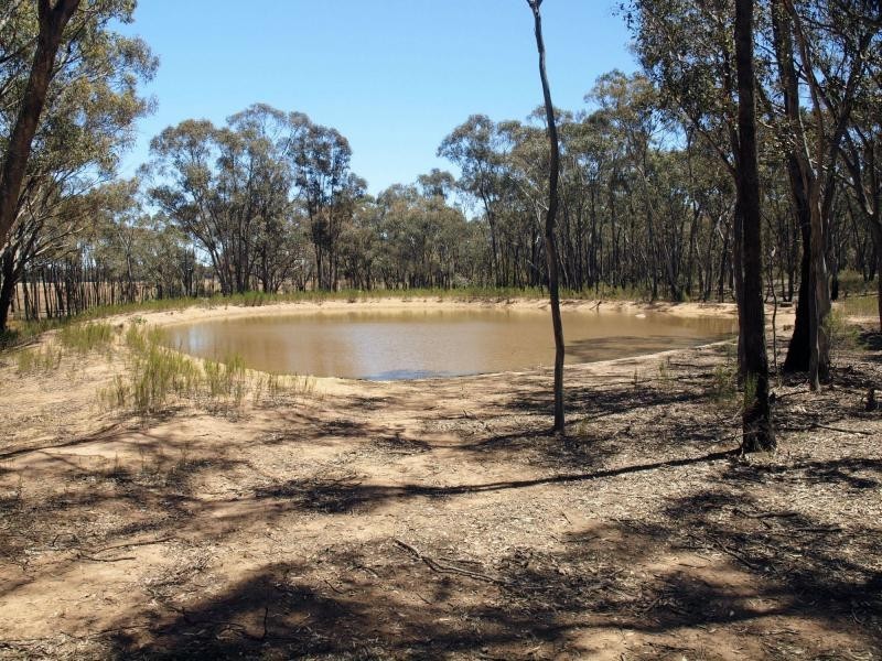 Lot 28 Pinpandoor Road, Longlea VIC 3551
