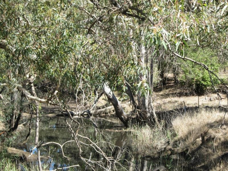 Lot 28 Pinpandoor Road, Longlea VIC 3551