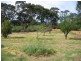 124 Nine Mile Road, Wedderburn VIC 3518