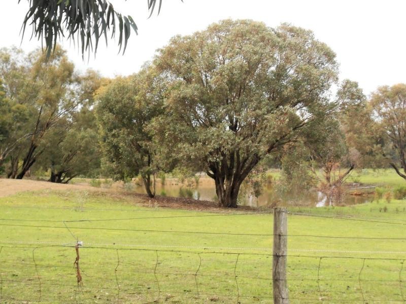 40 Teasley Drive, Heathcote VIC 3523