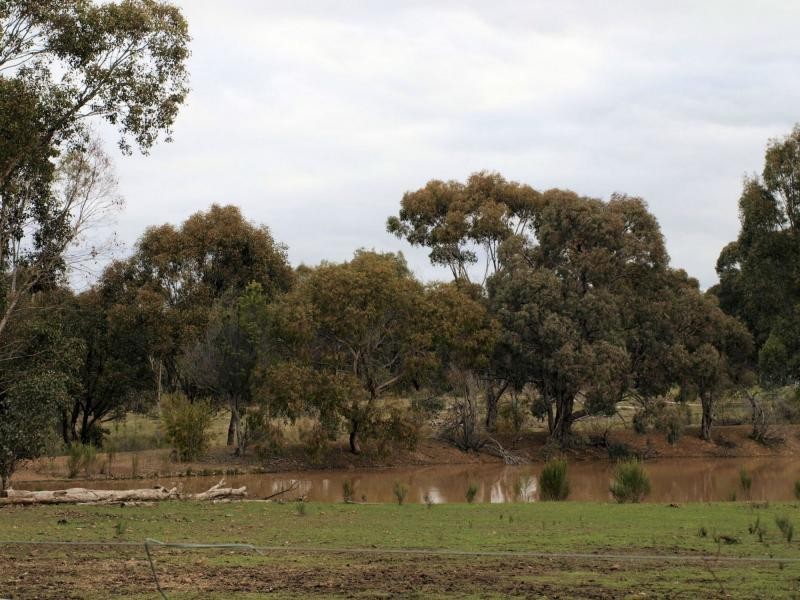 40 Teasley Drive, Heathcote VIC 3523