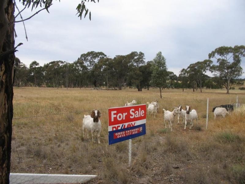 9A Three Chain Road, Sebastian VIC 3556