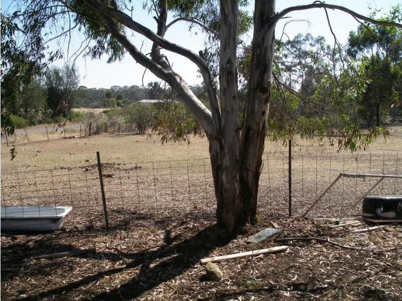 33 Christie Street, Myers Flat VIC 3556