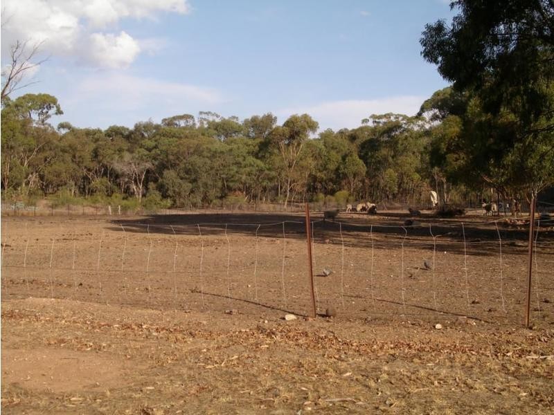 33 Christie Street, Myers Flat VIC 3556