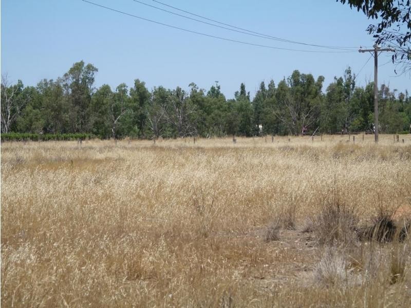 2-3 Bridgewater Serpentine Road, Bridgewater VIC 3516