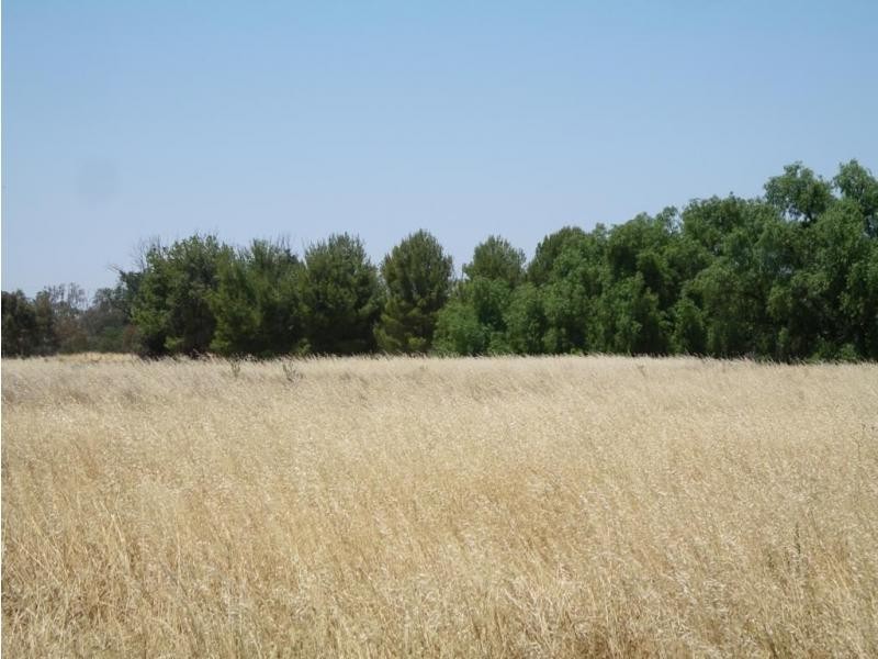 2-3 Bridgewater Serpentine Road, Bridgewater VIC 3516