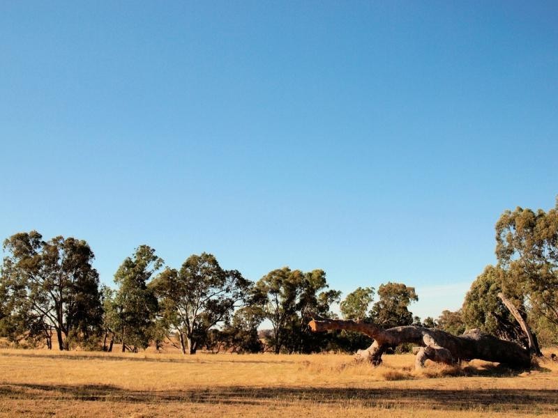 84 Beilharz Road, Bendigo VIC 3550
