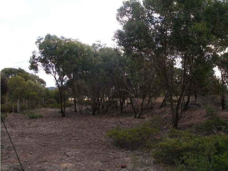 1 Belmont & Deeble Street, Inglewood VIC 3517