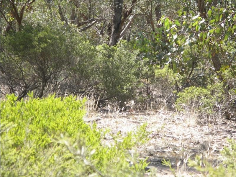 1 Belmont & Deeble Street, Inglewood VIC 3517