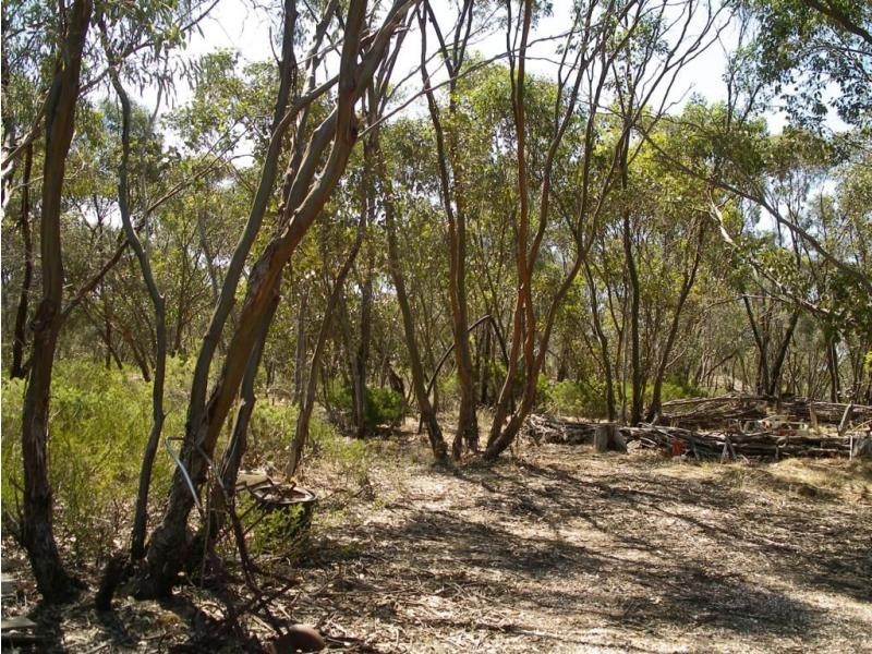 1 Belmont & Deeble Street, Inglewood VIC 3517