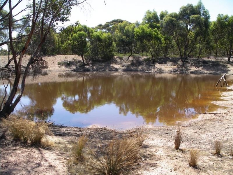 1 Belmont & Deeble Street, Inglewood VIC 3517