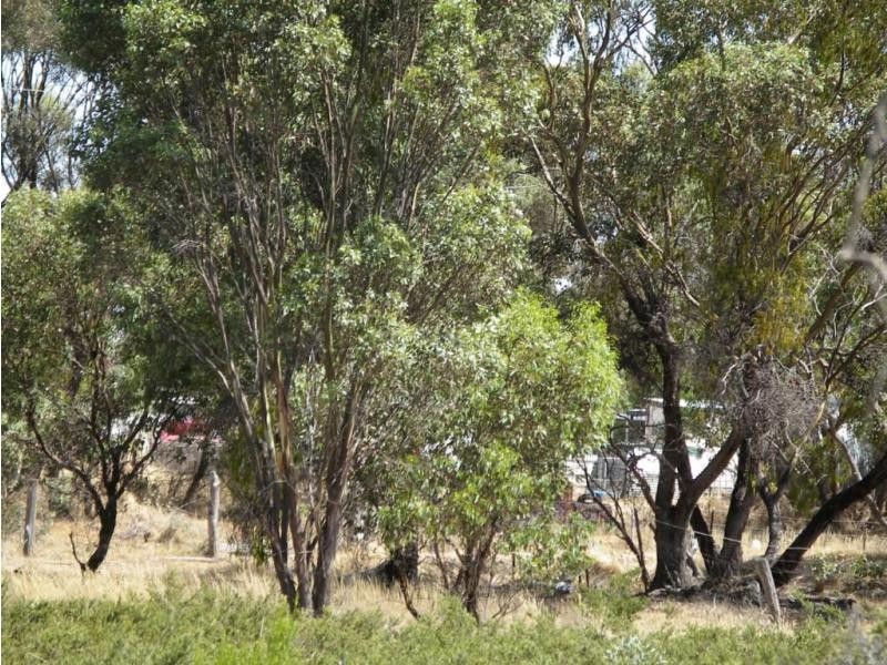 1 Belmont & Deeble Street, Inglewood VIC 3517