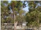 Serpentine VIC 3517
