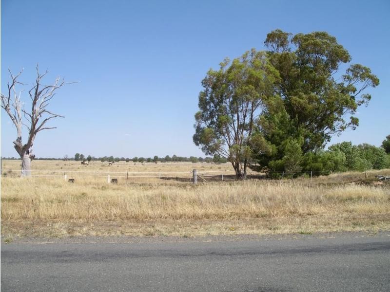 Serpentine VIC 3517