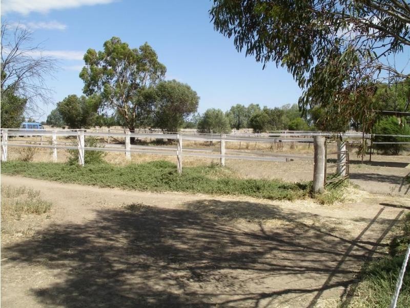 Serpentine VIC 3517