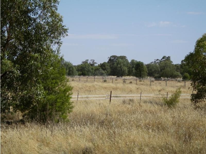 Serpentine VIC 3517