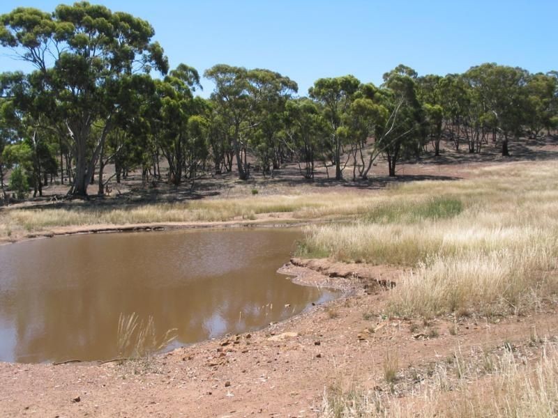 Lot 4 Calder Highway, Woosang VIC 3518