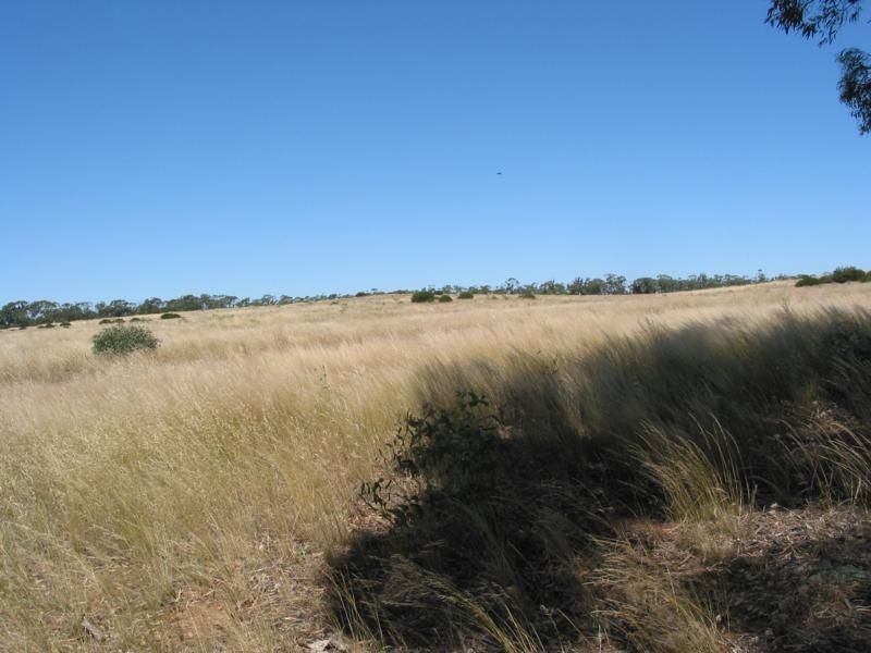 Lot 4 Calder Highway, Woosang VIC 3518
